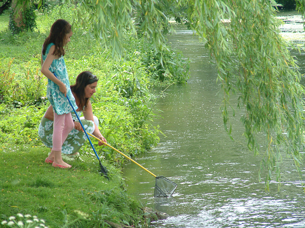 61 / 87