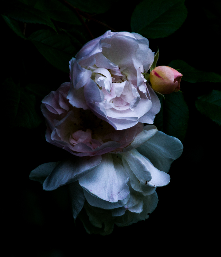 15 / 375