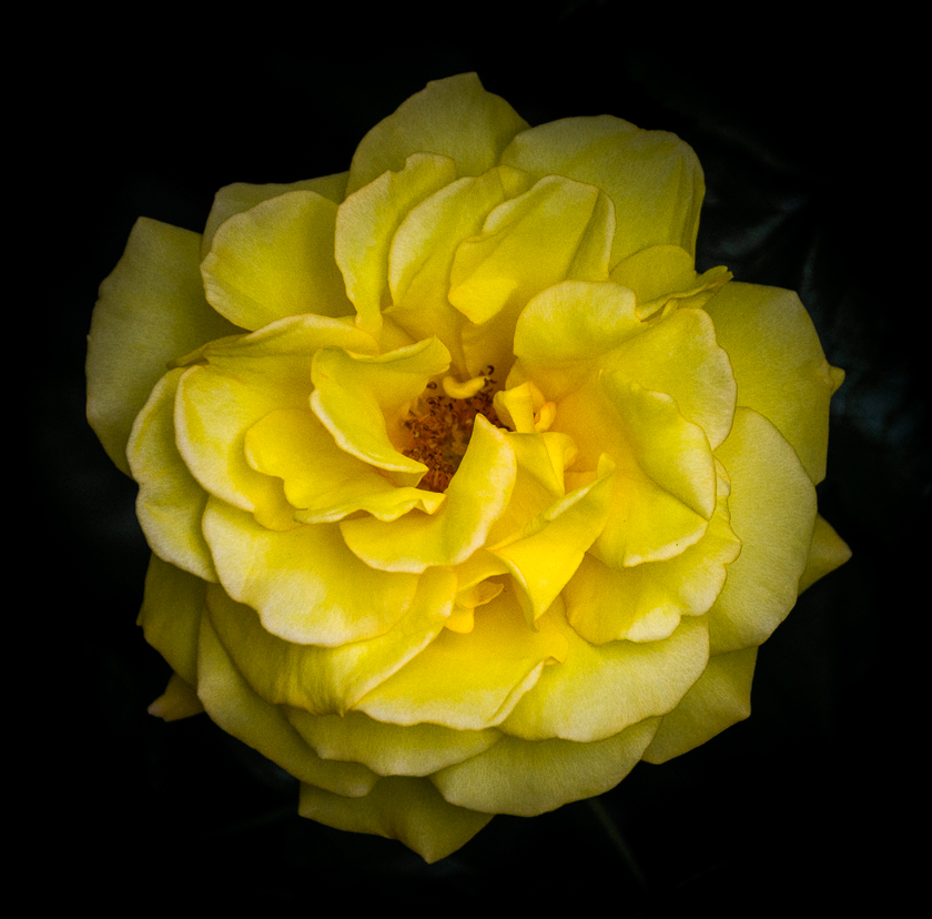 8 / 375