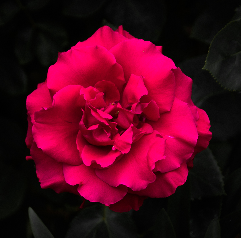 10 / 375